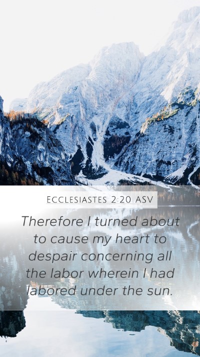 Ecclesiastes 2:20 ASV Bible Verse Image