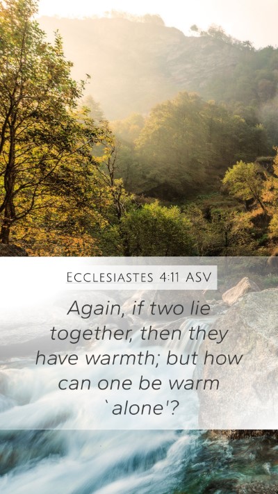 Ecclesiastes 4:11 ASV Bible Verse Image