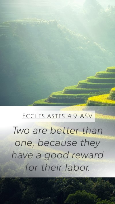 Ecclesiastes 4:9 ASV Bible Verse Image