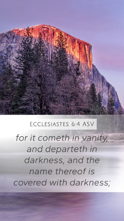 Ecclesiastes 6:4 ASV Mobile Phone Wallpaper - for it cometh in vanity, and departeth in - Mobile Bible Verse Wallpaper