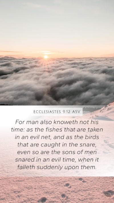 Ecclesiastes 9:12 ASV Bible Verse Image