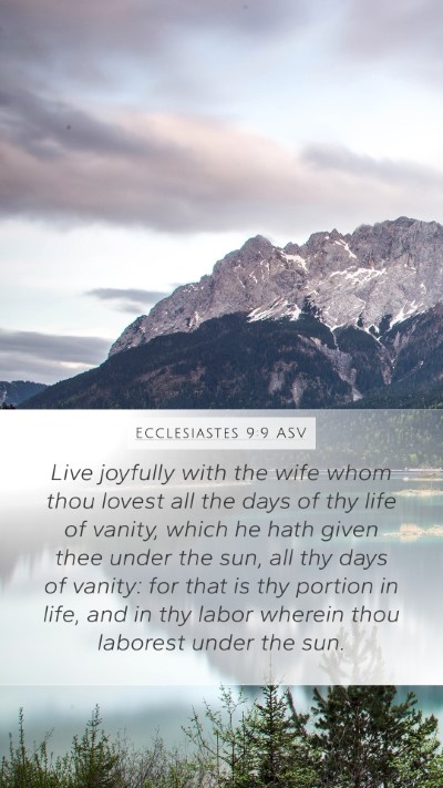 Ecclesiastes 9:9 ASV Bible Verse Image