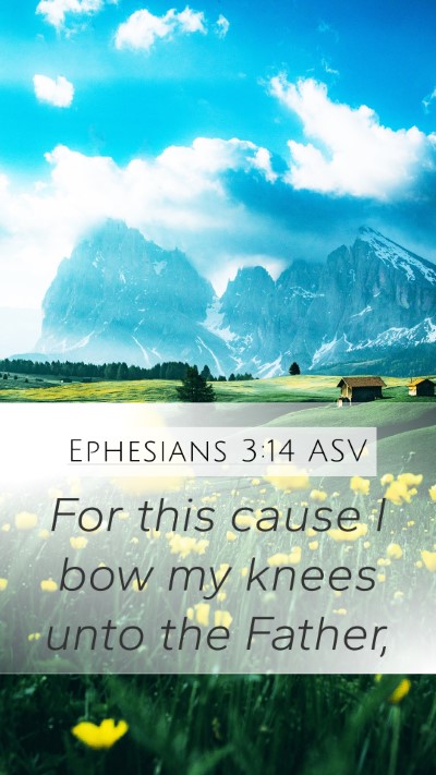 Ephesians 3:14 ASV Bible Verse Image