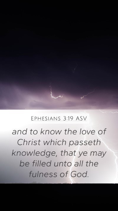 Ephesians 3:19 ASV Bible Verse Image