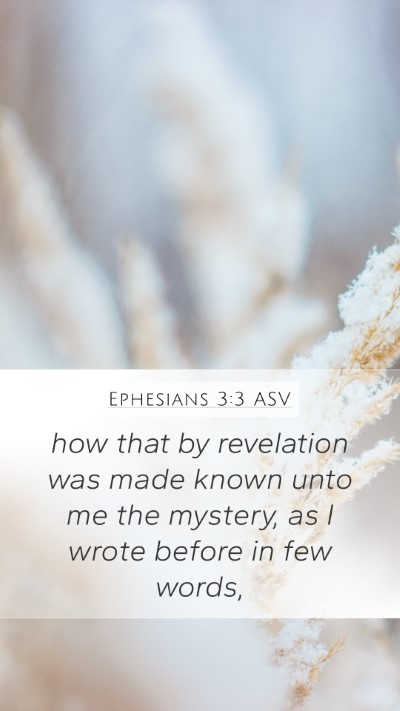 Ephesians 3:3 ASV Bible Verse Image