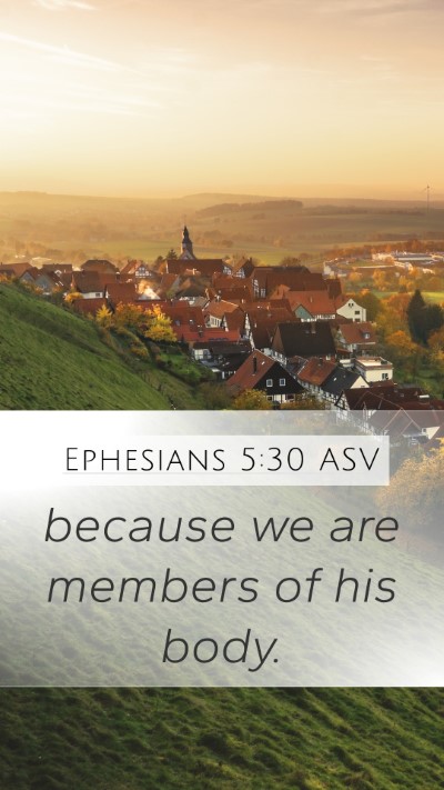 Ephesians 5:30 ASV Bible Verse Image