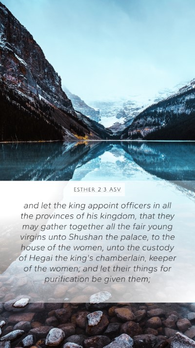Esther 2:3 ASV Bible Verse Image