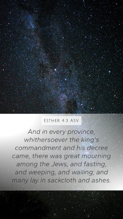 Esther 4:3 ASV Bible Verse Image