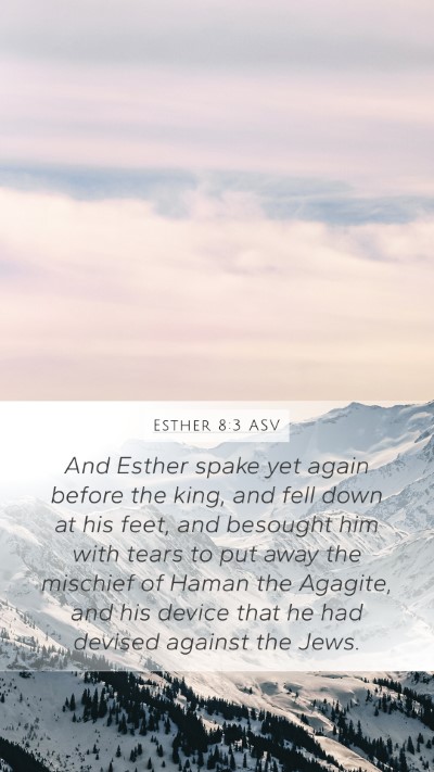 Esther 8:3 ASV Bible Verse Image