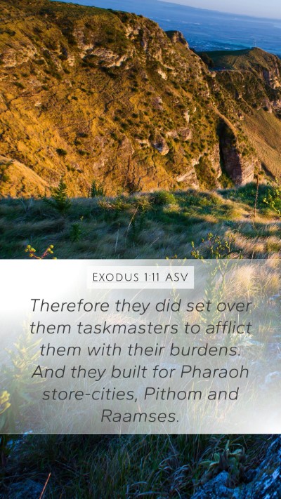 Exodus 1:11 ASV Bible Verse Image