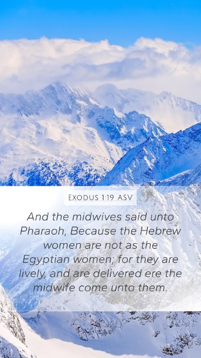 Exodus 1:19 ASV Bible Verse Image