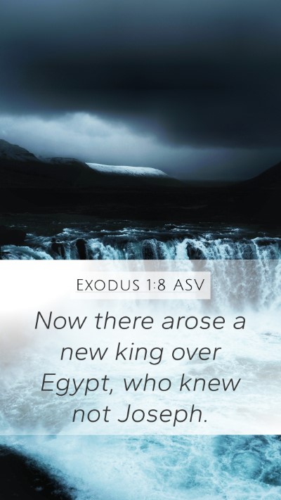 Exodus 1:8 ASV Bible Verse Image