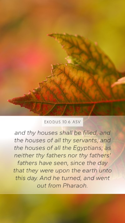 Exodus 10:6 ASV Bible Verse Image