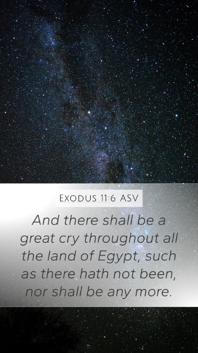 Exodus 11:6 ASV Bible Verse Image