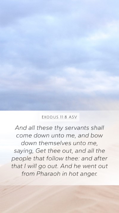 Exodus 11:8 ASV Bible Verse Image