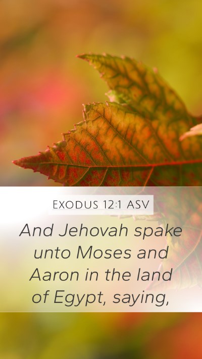 Exodus 12:1 ASV Bible Verse Image