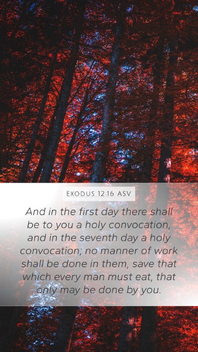 Exodus 12:16 ASV Bible Verse Image