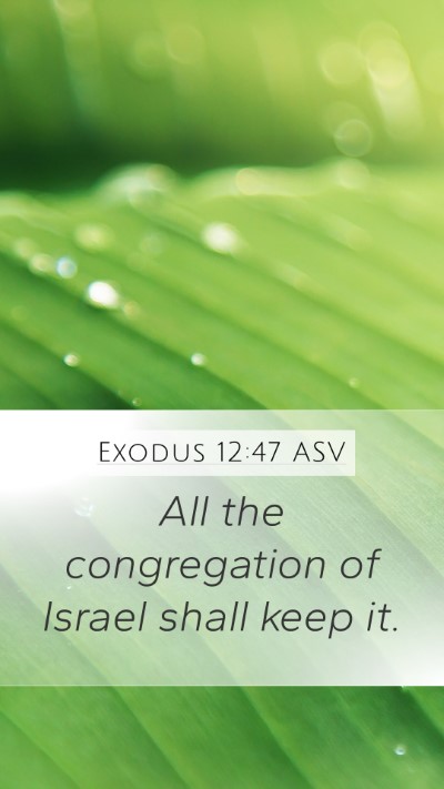 Exodus 12:47 ASV Mobile Phone Wallpaper - All the congregation of Israel shall keep - Mobile Bible Verse Wallpaper