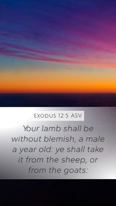 Exodus 12:5 ASV Bible Verse Image
