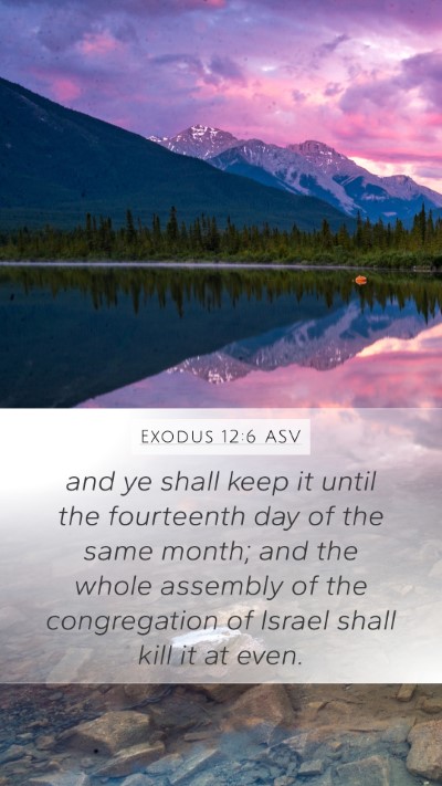 Exodus 12:6 ASV Bible Verse Image