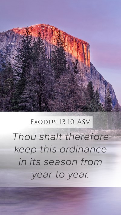 Exodus 13:10 ASV Mobile Phone Wallpaper - Thou shalt therefore keep this ordinance in its - Mobile Bible Verse Wallpaper