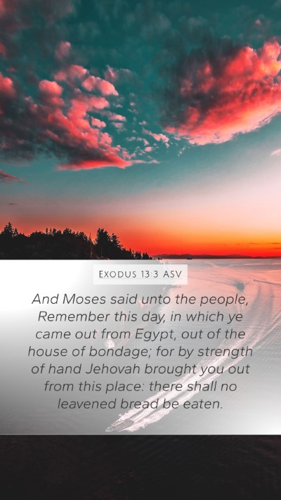 Exodus 13:3 ASV Bible Verse Image