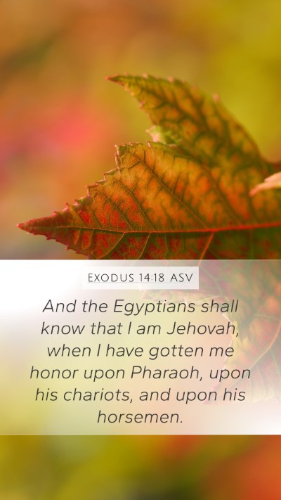 Exodus 14:18 ASV Bible Verse Image