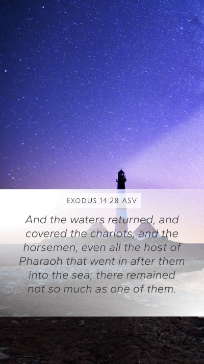 Exodus 14:28 ASV Bible Verse Image