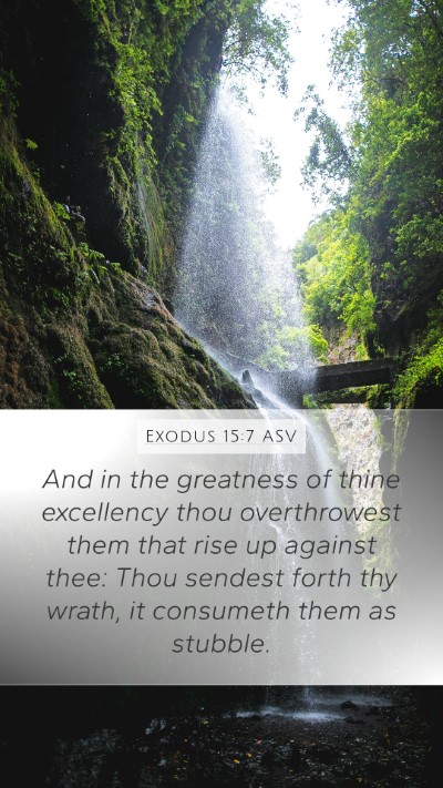 Exodus 15:7 ASV Bible Verse Image