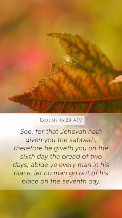 Exodus 16:29 ASV Bible Verse Image