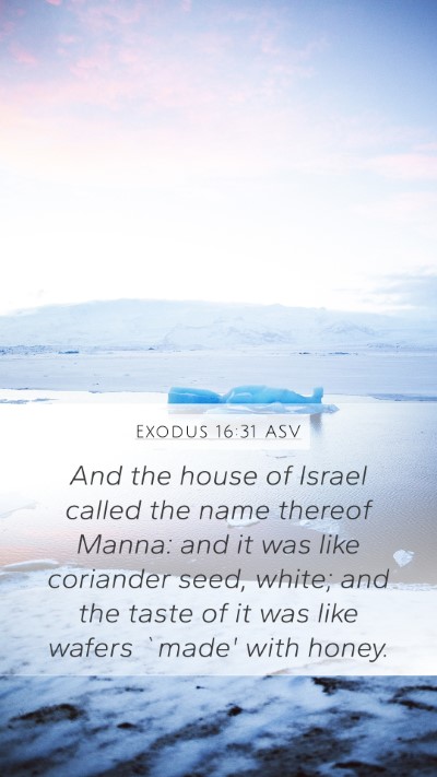 Exodus 16:31 ASV Bible Verse Image