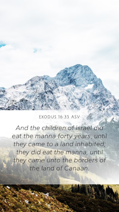 Exodus 16:35 ASV Bible Verse Image