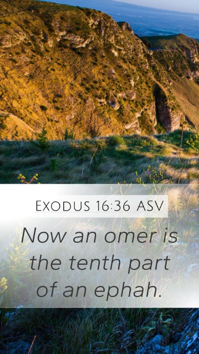 Exodus 16:36 ASV Bible Verse Image