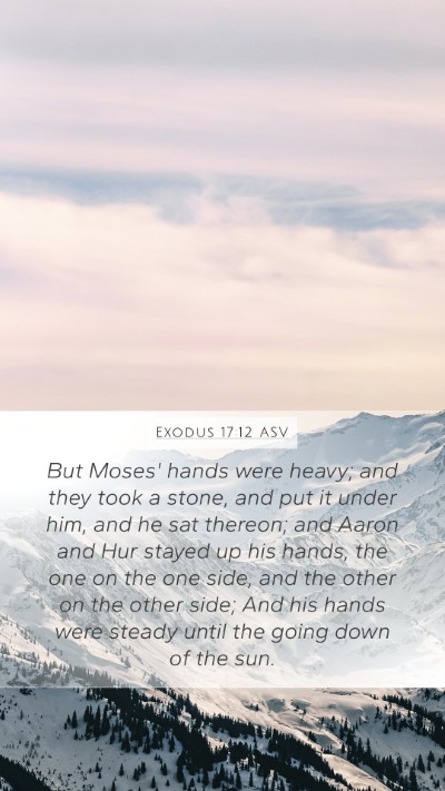 Exodus 17:12 ASV Bible Verse Image