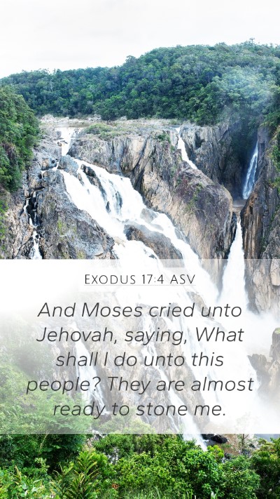 Exodus 17:4 ASV Bible Verse Image
