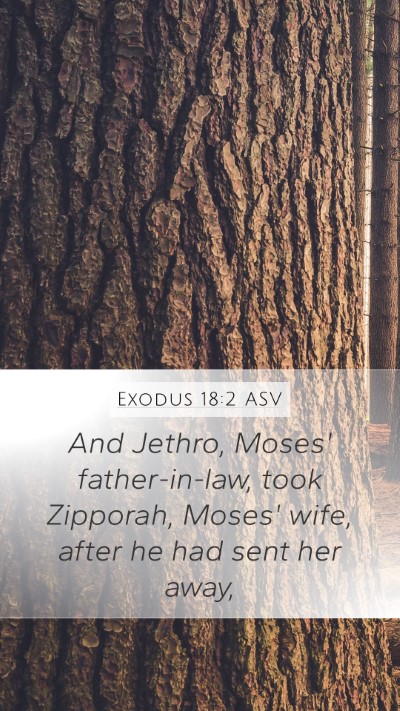 Exodus 18:2 ASV Mobile Phone Wallpaper - And Jethro, Moses' father-in-law, took Zipporah, - Mobile Bible Verse Wallpaper
