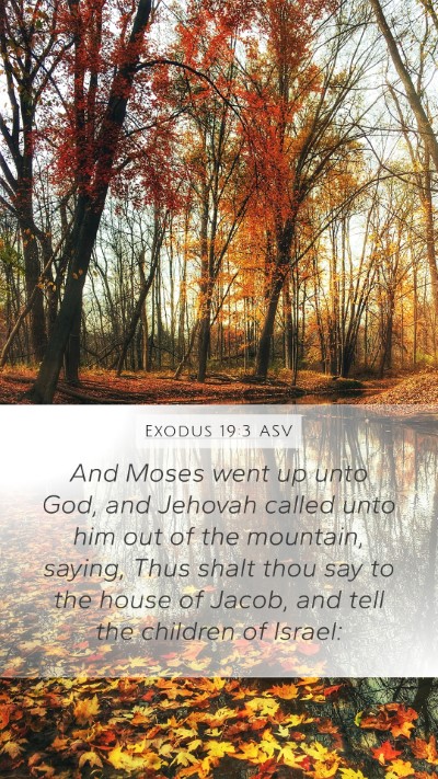 Exodus 19:3 ASV Bible Verse Image