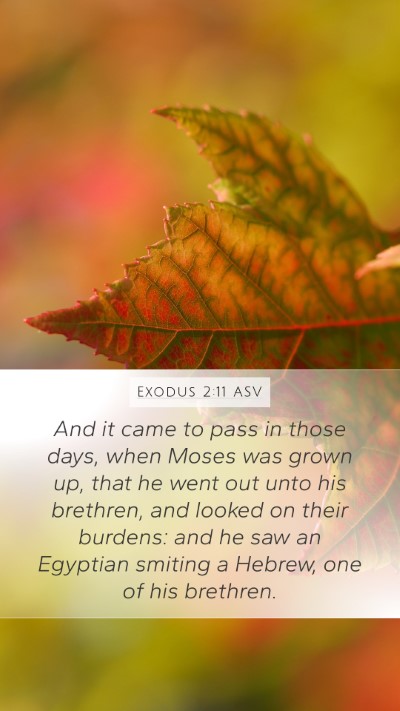 Exodus 2:11 ASV Bible Verse Image