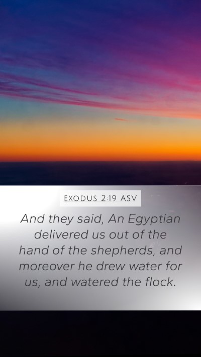 Exodus 2:19 ASV Mobile Phone Wallpaper - And they said, An Egyptian delivered us out of - Mobile Bible Verse Wallpaper