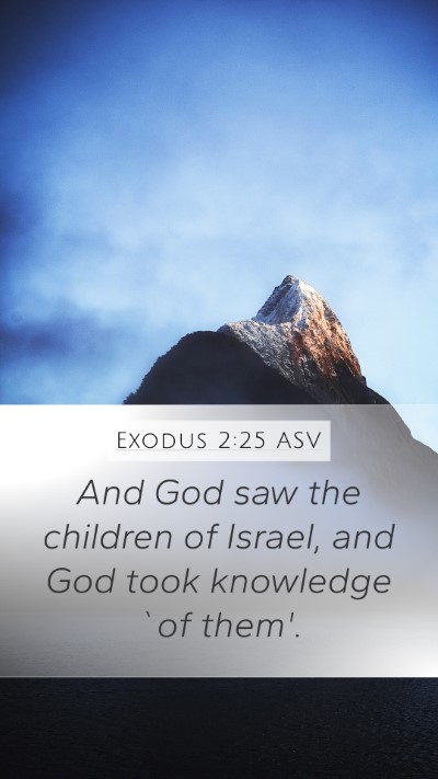 Exodus 2:25 ASV Bible Verse Image