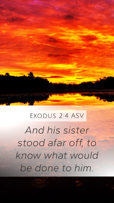 Exodus 2:4 ASV Bible Verse Image