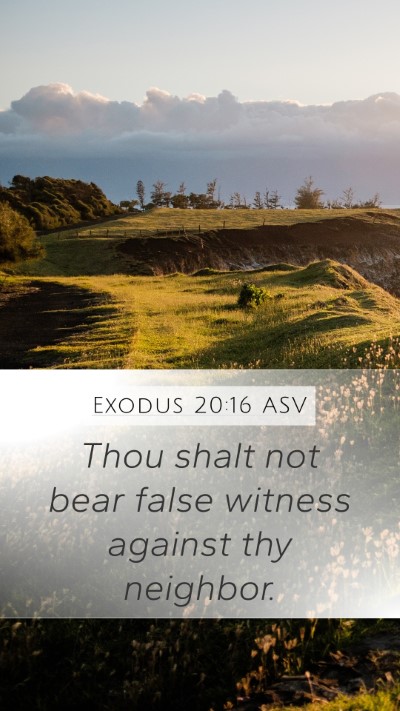 Exodus 20:16 ASV Bible Verse Image