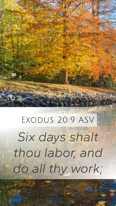 Exodus 20:9 ASV Bible Verse Image