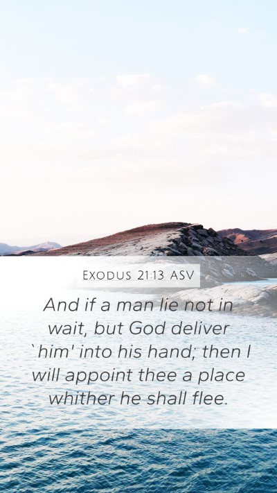 Exodus 21:13 ASV Bible Verse Image