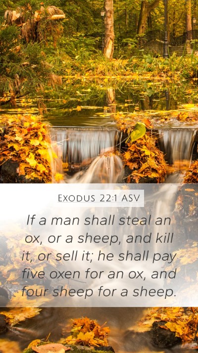 Exodus 22:1 ASV Bible Verse Image