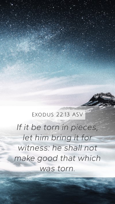 Exodus 22:13 ASV Mobile Phone Wallpaper - If it be torn in pieces, let him bring it for - Mobile Bible Verse Wallpaper