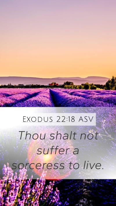 Exodus 22:18 ASV Bible Verse Image