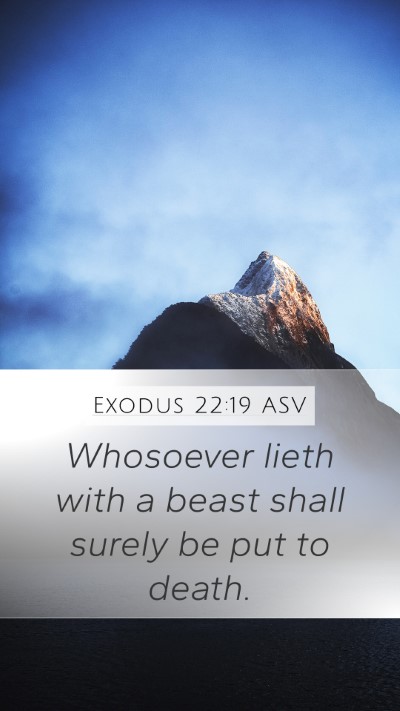 Exodus 22:19 ASV Bible Verse Image