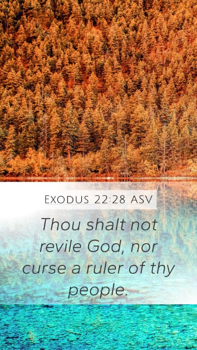 Exodus 22:28 ASV Bible Verse Image