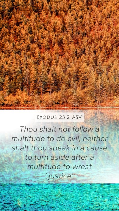 Exodus 23:2 ASV Bible Verse Image